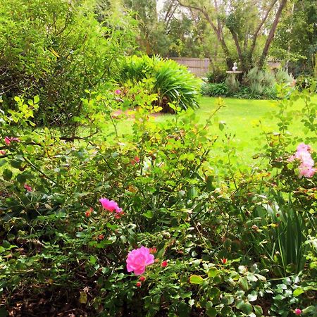 Bindley House B&B Cottage Kilmore 외부 사진