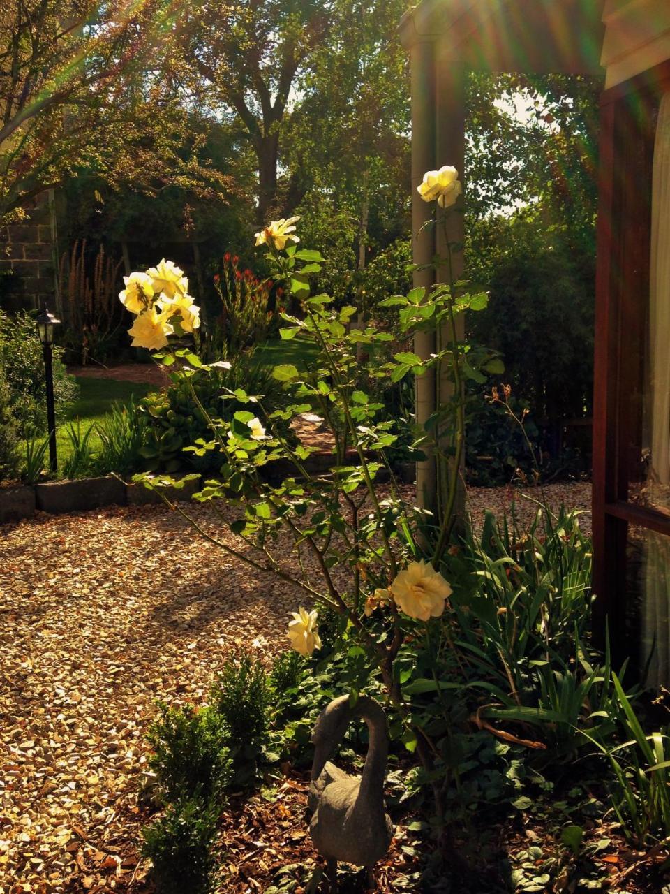 Bindley House B&B Cottage Kilmore 외부 사진